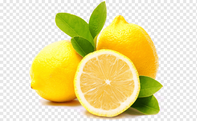 எலுமிச்சைபழம் / Elumicchaipazham -LemonFruit